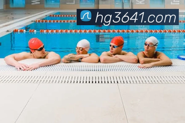 App Interface Preview