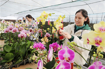 4-3-6-5-2-沭阳县发展'花木经.jpg